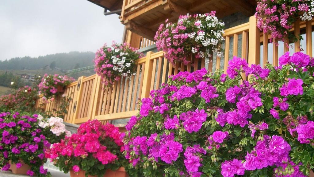 Gresil Residence Champoluc Zewnętrze zdjęcie